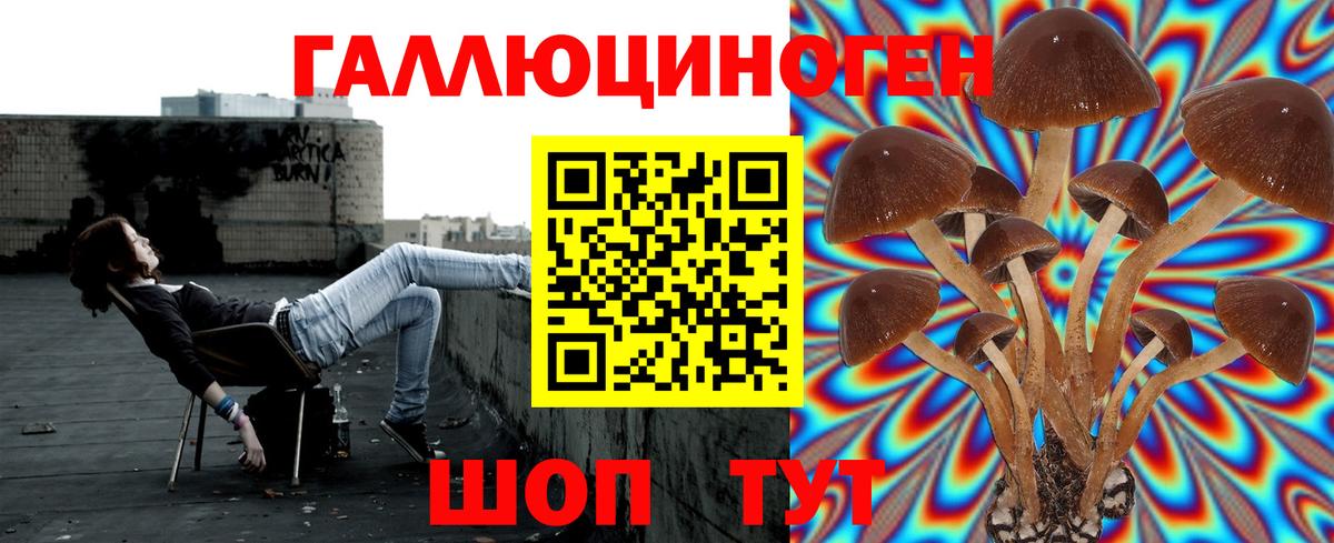 где продают   Псилоцибиновые грибы Psilocybine cubensis  Вход с VPN  Мурманск 